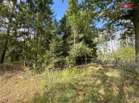 Prodej pozemku, les, 62 499 m²