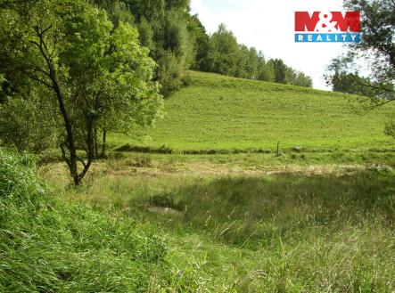 Prodej pozemku, trvalý travní porost, 2 749 m²