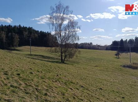 Prodej pozemku, trvalý travní porost, 2 749 m²