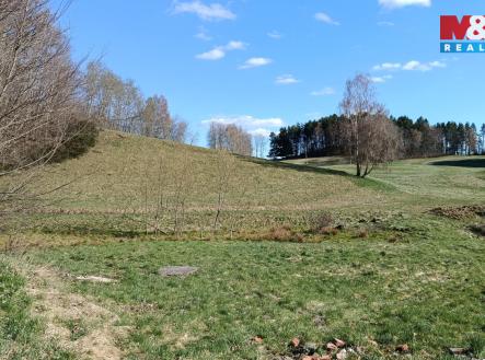 Prodej pozemku, trvalý travní porost, 2 749 m²