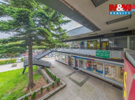 Pronájem obchodní prostor, 110 m²