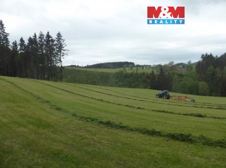 Prodej pozemku, les, 26 095 m²