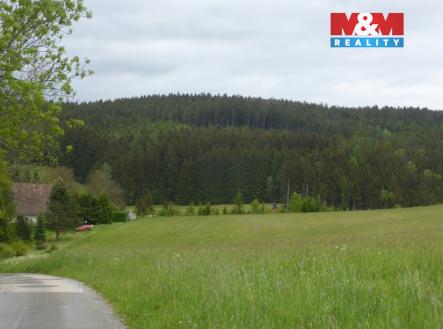 Prodej pozemku, les, 26 095 m²