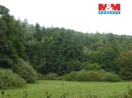 Prodej pozemku, les, 26 095 m²