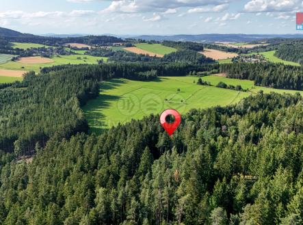 Prodej pozemku, les, 15 707 m²