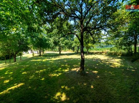 Prodej - pozemek pro bydlení, 706 m²