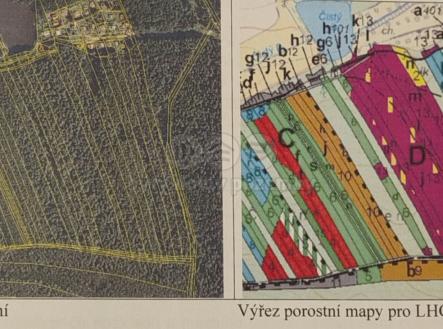 Prodej - pozemek, les, 7 844 m²