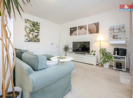 Pronájem bytu, 4+1, 100 m²