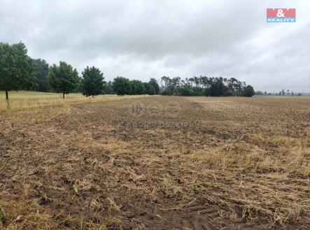 Prodej pozemku, zemědělská půda, 12 454 m²