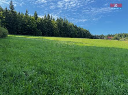 Prodej pozemku, trvalý travní porost, 7 880 m²