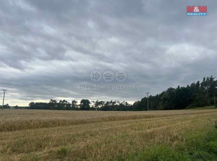 Prodej pozemku, les, 4 321 m²