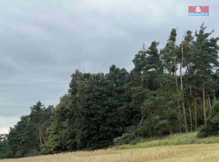 Prodej pozemku, les, 4 321 m²