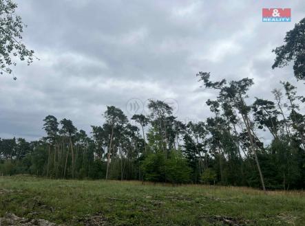 Prodej pozemku, les, 4 321 m²