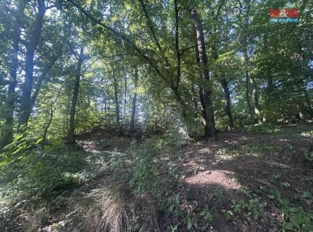 Prodej - pozemek, les, 4 812 m²