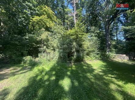 Prodej pozemku, les, 4 812 m²