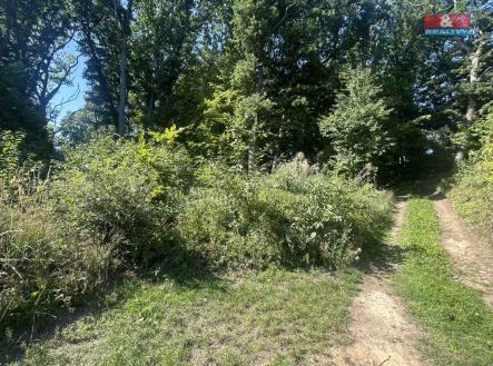 Prodej pozemku, les, 4 812 m²