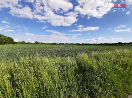Prodej pozemku, zemědělská půda, 12 778 m²