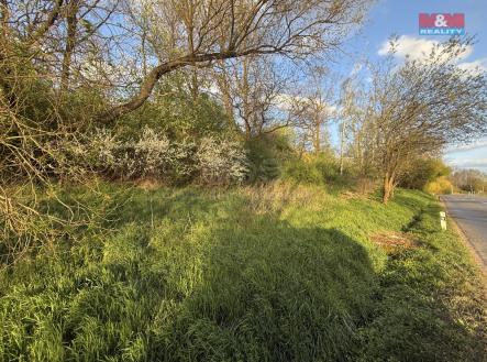 Prodej pozemku, zemědělská půda, 3 924 m²