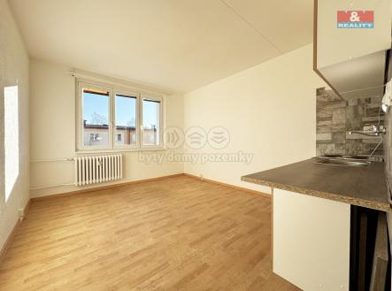 Pronájem bytu, 1+kk, 20 m²
