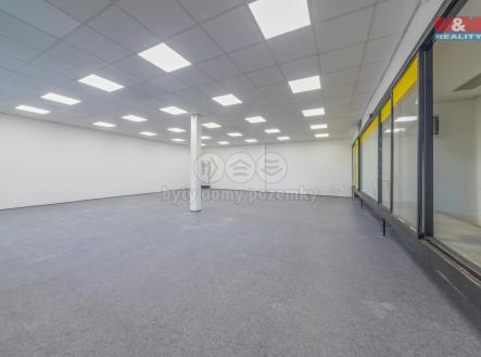 Pronájem obchodní prostor, 500 m²