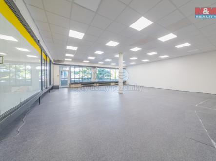 Pronájem obchodní prostor, 500 m²