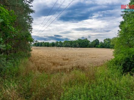 Prodej pozemku, zahrada, 534 m²