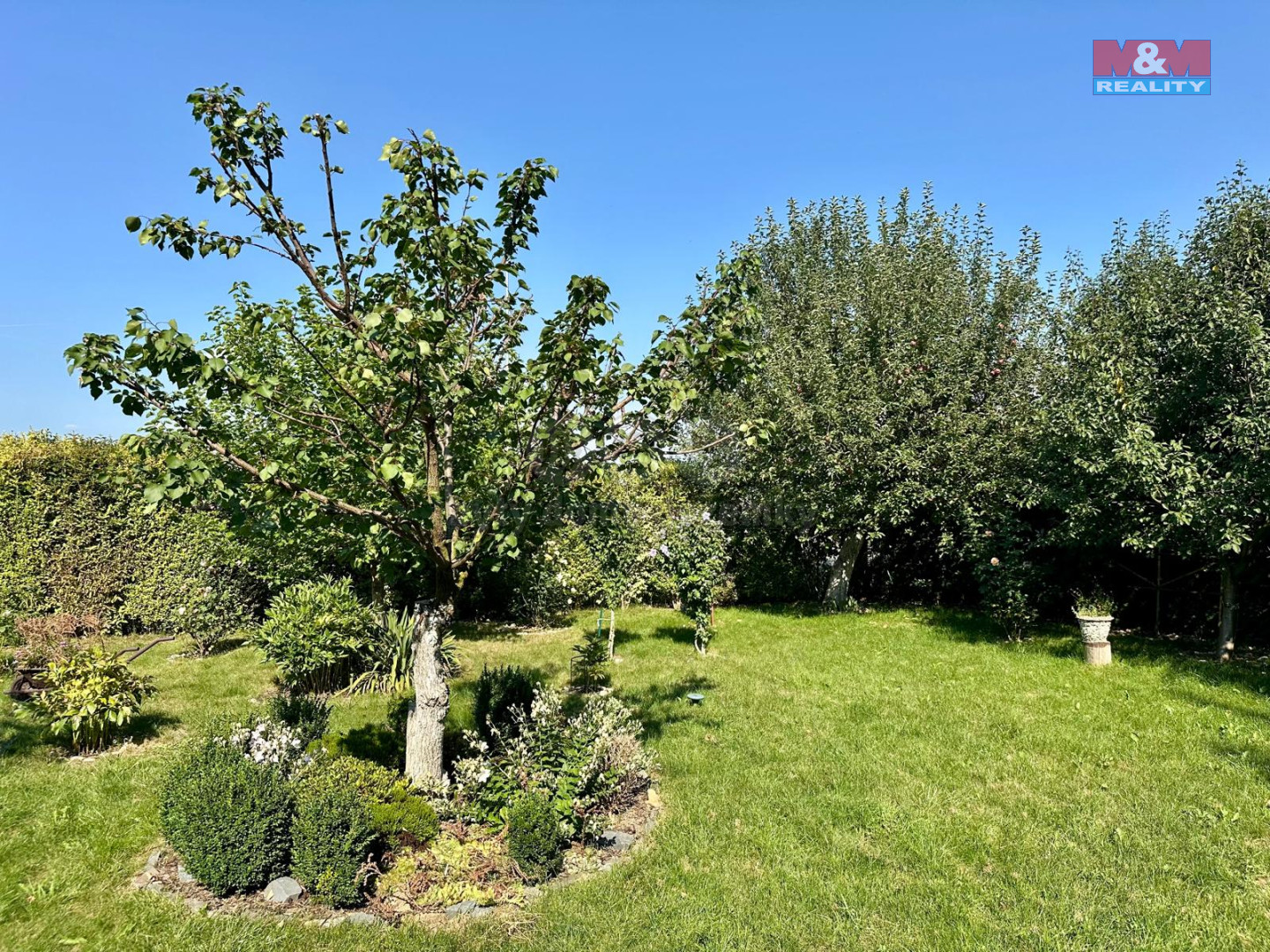 Obrázek WhatsApp, 2025-08-15 v 17.40.33_4d574bec.jpg