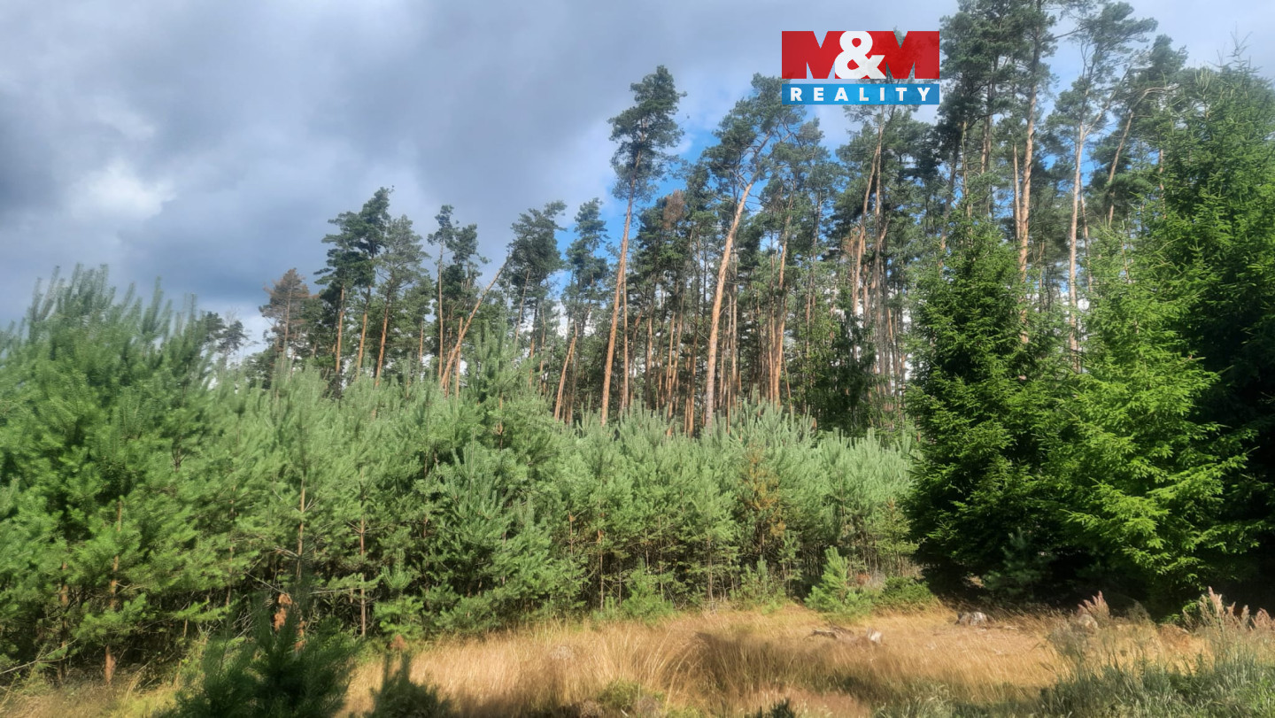 Obrázek WhatsApp, 2025-08-06 v 14.55.52_2eac020a.jpg