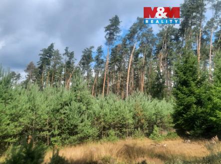 Prodej pozemku, les, 108 447 m²