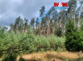 Prodej pozemku, les, 108 447 m²