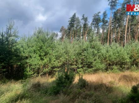 Prodej pozemku, les, 108 447 m²