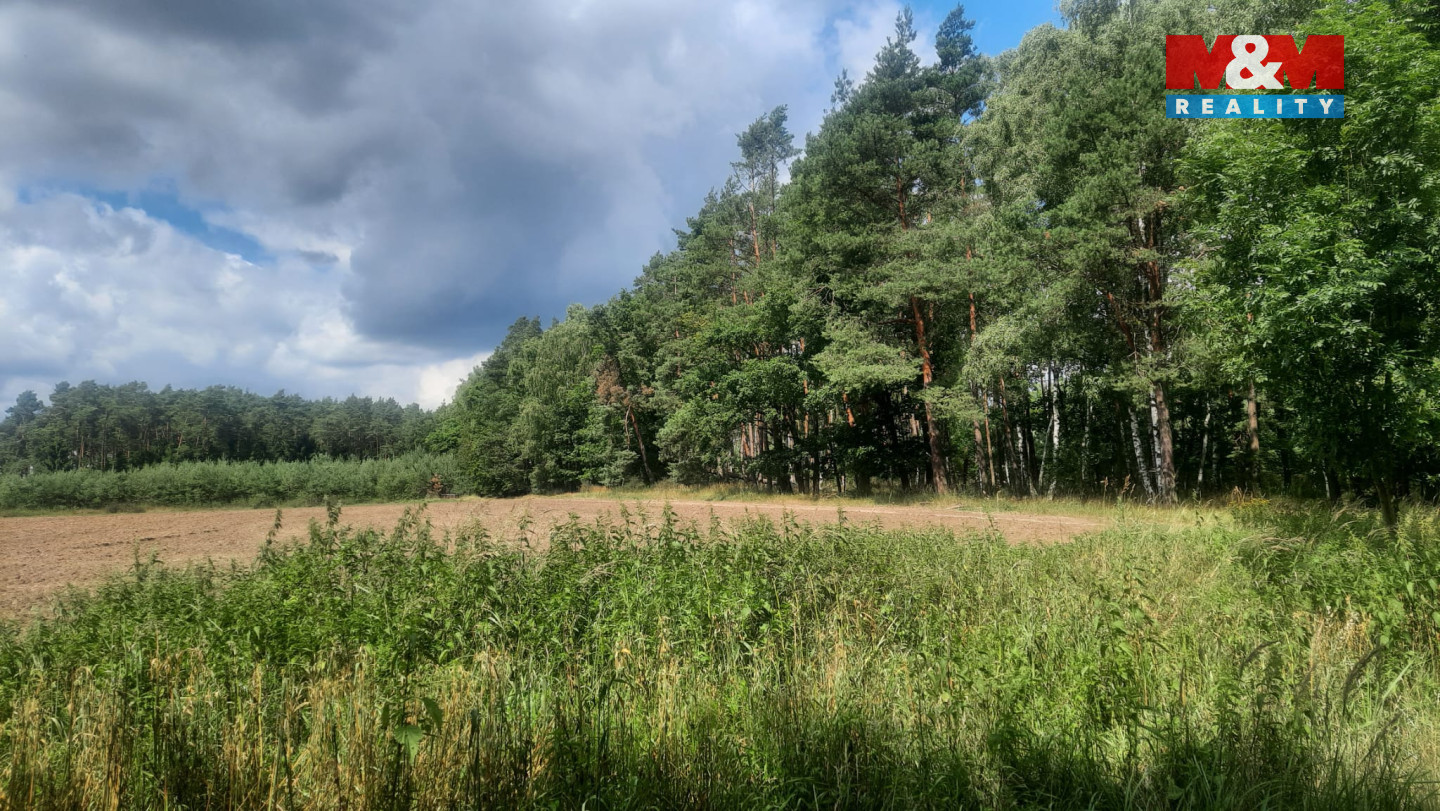 Obrázek WhatsApp, 2025-08-06 v 14.55.52_9031abef.jpg