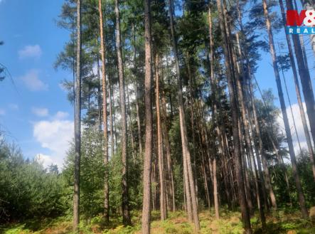 Prodej pozemku, les, 108 447 m²