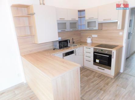 Pronájem bytu, 1+1, 48 m²