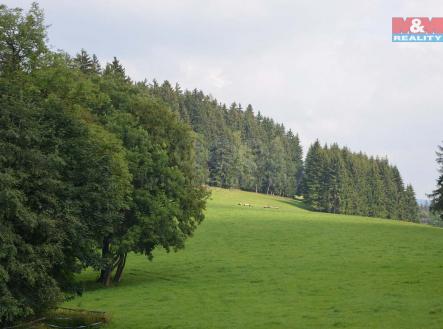 Prodej pozemku, trvalý travní porost, 46 428 m²