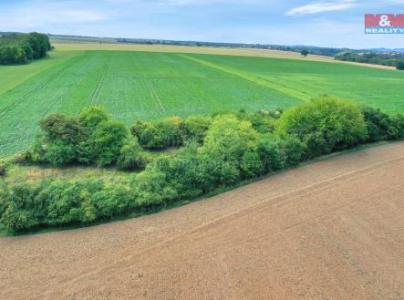 Prodej pozemku, les, 1 302 m²