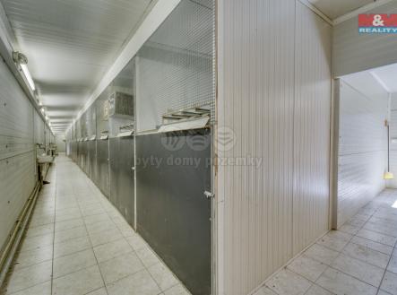 Prodej skladovací prostor, 1 220 m²