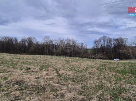 Prodej pozemku, trvalý travní porost, 22 628 m²
