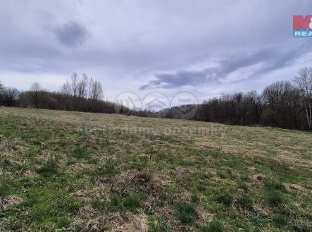 Prodej pozemku, trvalý travní porost, 22 628 m²