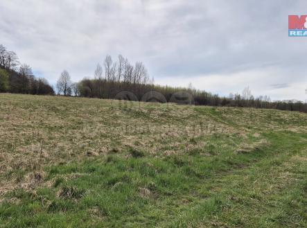 Prodej pozemku, trvalý travní porost, 22 628 m²