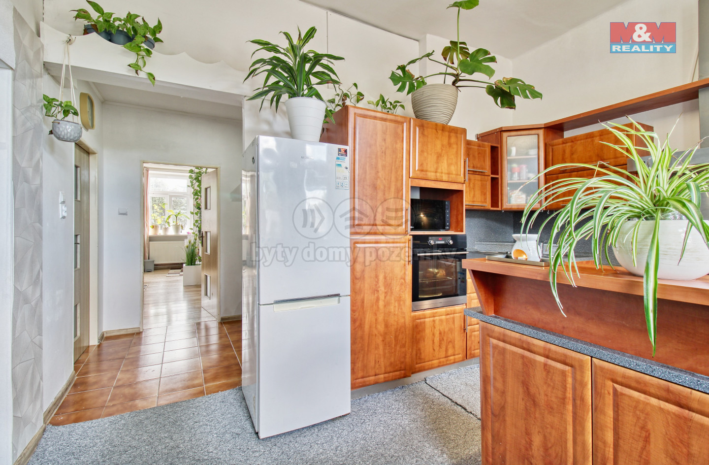 kuchyň purkyněho.jpg