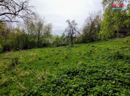 Prodej pozemku pro bydlení, 2 730 m²