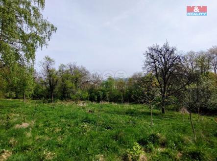 Prodej pozemku pro bydlení, 2 730 m²