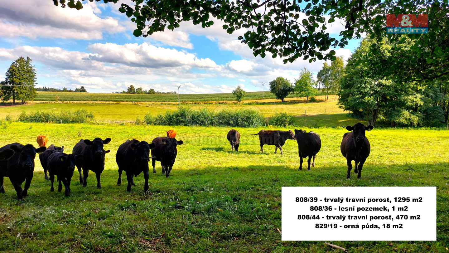 917572 - Prodej pozemků, 27953 m², Štoky