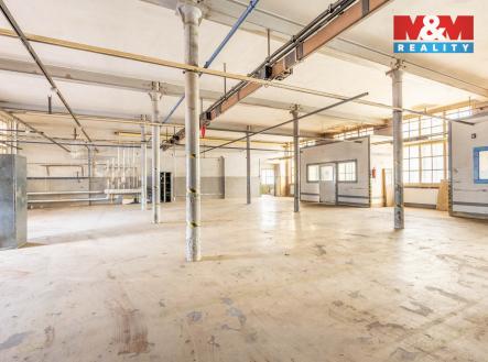 Pronájem výrobní prostor, 5 000 m²