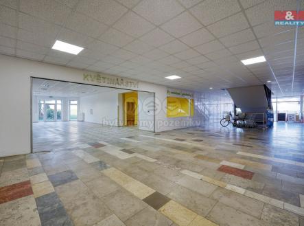 Pronájem obchodní prostor, 133 m²