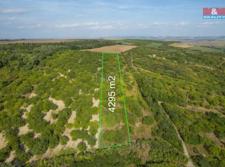 Prodej pozemku, zemědělská půda, 4 295 m²