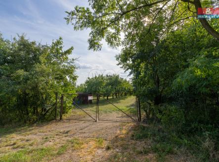 Prodej pozemku, zemědělská půda, 4 295 m²