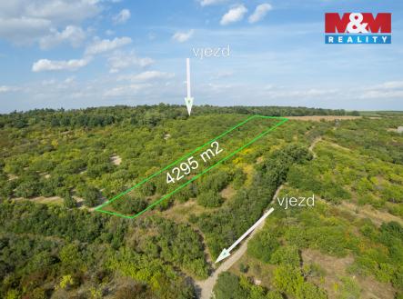 Prodej pozemku, zemědělská půda, 4 295 m²