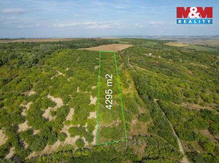 Prodej pozemku, zemědělská půda, 4 295 m²